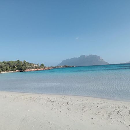 Lilly'S House Ξενοδοχείο Murta Maria Εξωτερικό φωτογραφία